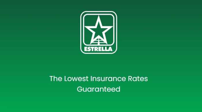 Seguro estrella insurance